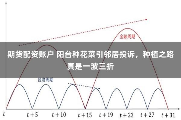 期货配资账户 阳台种花菜引邻居投诉，种植之路真是一波三折