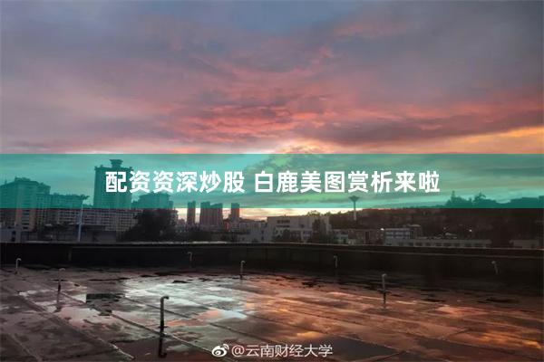 配资资深炒股 白鹿美图赏析来啦