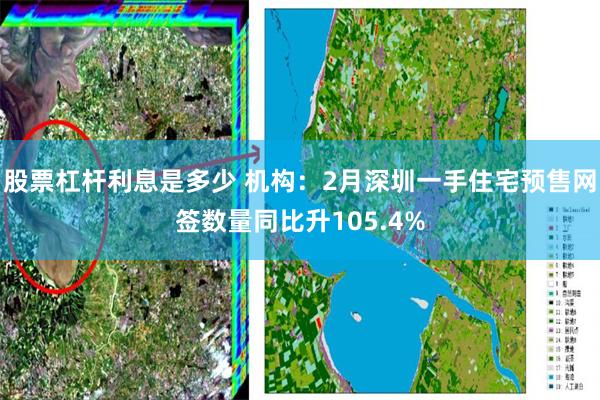 股票杠杆利息是多少 机构：2月深圳一手住宅预售网签数量同比升105.4%