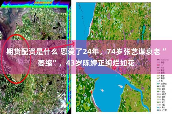 期货配资是什么 恩爱了24年，74岁张艺谋衰老“萎缩”，43岁陈婷正绚烂如花