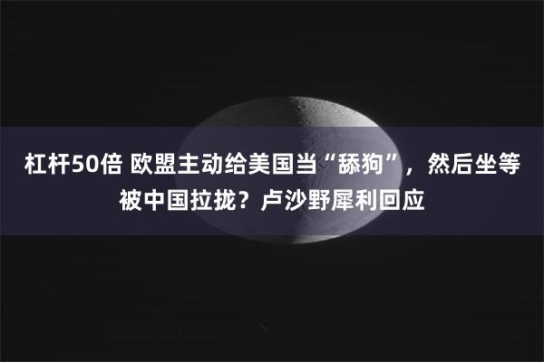 杠杆50倍 欧盟主动给美国当“舔狗”，然后坐等被中国拉拢？卢沙野犀利回应