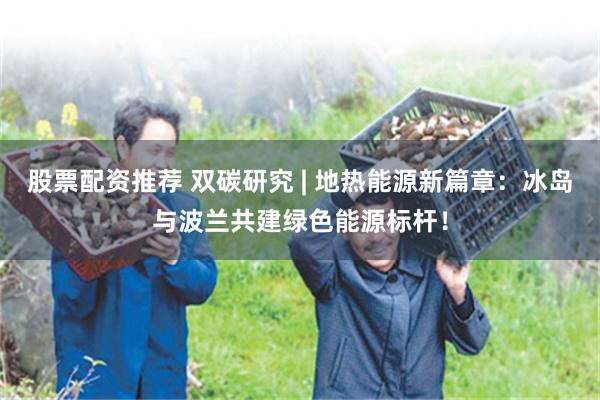 股票配资推荐 双碳研究 | 地热能源新篇章：冰岛与波兰共建绿色能源标杆！