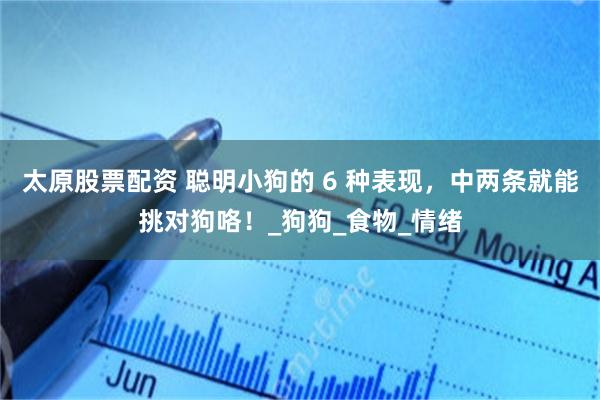 太原股票配资 聪明小狗的 6 种表现，中两条就能挑对狗咯！_狗狗_食物_情绪