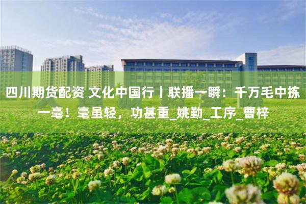 四川期货配资 文化中国行丨联播一瞬：千万毛中拣一毫！毫虽轻，功甚重_姚勤_工序_曹梓