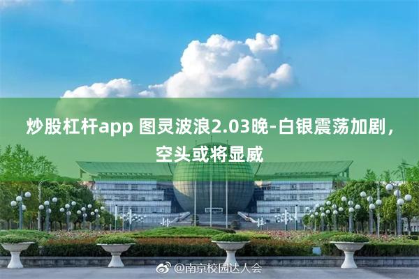 炒股杠杆app 图灵波浪2.03晚-白银震荡加剧，空头或将显威