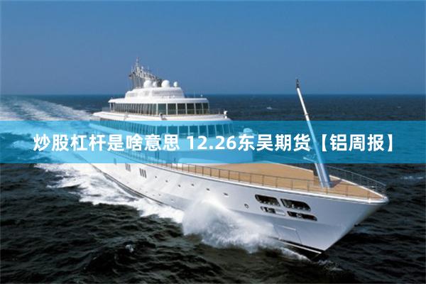 炒股杠杆是啥意思 12.26东吴期货【铝周报】