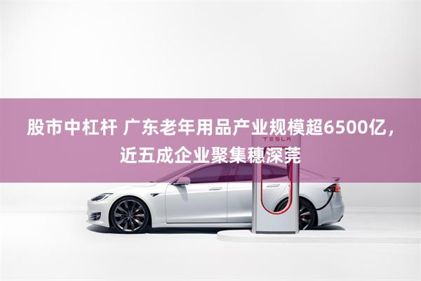 股市中杠杆 广东老年用品产业规模超6500亿，近五成企业聚集穗深莞