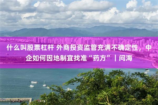 什么叫股票杠杆 外商投资监管充满不确定性，中企如何因地制宜找准“药方”｜问海