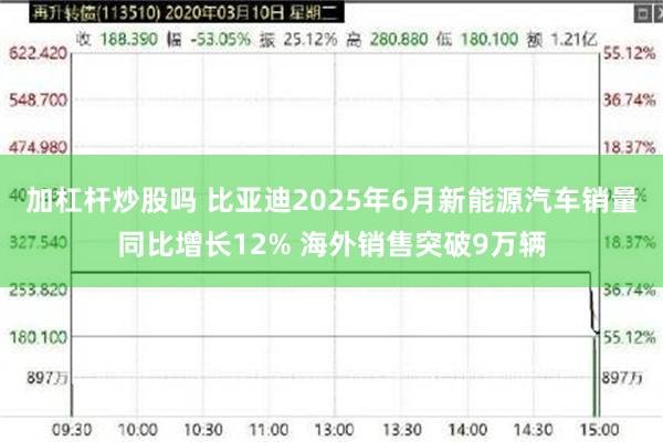 加杠杆炒股吗 比亚迪2025年6月新能源汽车销量同比增长12% 海外销售突破9万辆