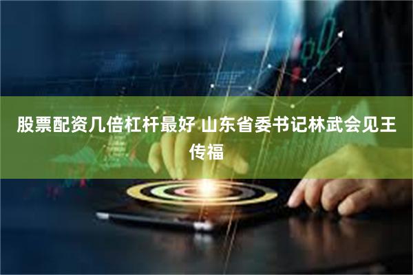 股票配资几倍杠杆最好 山东省委书记林武会见王传福