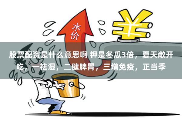 股票配资是什么意思啊 钾是冬瓜3倍，夏天敞开吃，一祛湿，二健脾胃，三增免疫，正当季