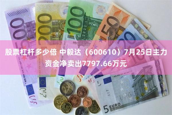 股票杠杆多少倍 中毅达（600610）7月25日主力资金净卖出7797.66万元