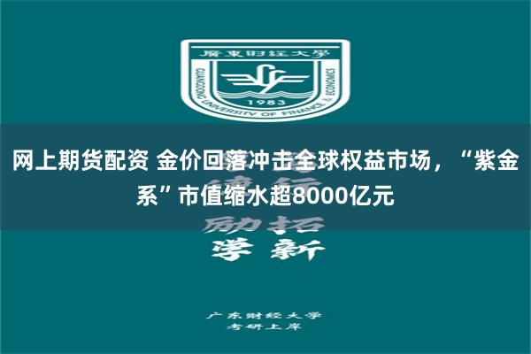 网上期货配资 金价回落冲击全球权益市场，“紫金系”市值缩水超8000亿元