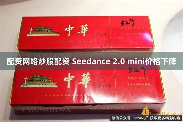 配资网络炒股配资 Seedance 2.0 mini价格下降