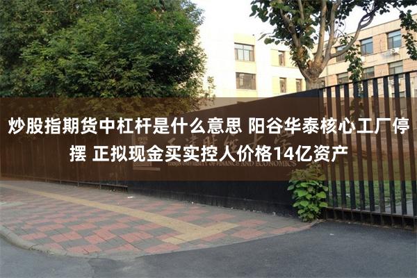 炒股指期货中杠杆是什么意思 阳谷华泰核心工厂停摆 正拟现金买实控人价格14亿资产