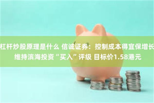 杠杆炒股原理是什么 信诚证券：控制成本得宜保增长 维持滨海投资“买入”评级 目标价1.58港元