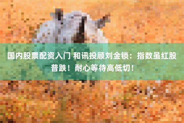 国内股票配资入门 和讯投顾刘金锁：指数虽红股普跌！耐心等待高低切！
