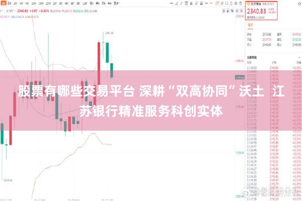 股票有哪些交易平台 深耕“双高协同”沃土  江苏银行精准服务科创实体