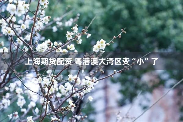 上海期货配资 粤港澳大湾区变“小”了
