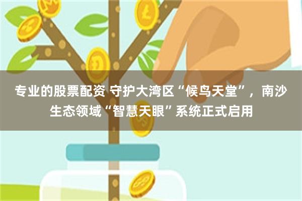 专业的股票配资 守护大湾区“候鸟天堂”，南沙生态领域“智慧天眼”系统正式启用
