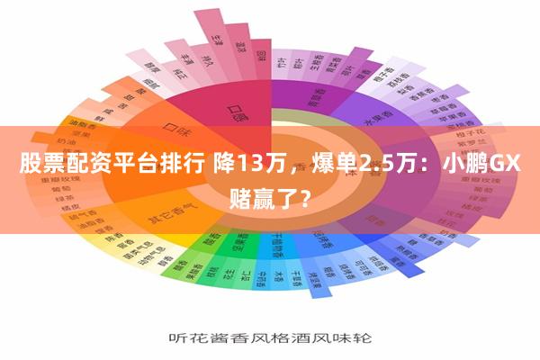 股票配资平台排行 降13万，爆单2.5万：小鹏GX赌赢了？