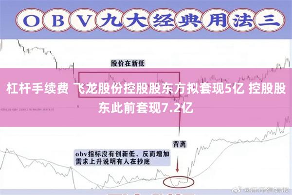 杠杆手续费 飞龙股份控股股东方拟套现5亿 控股股东此前套现7.2亿