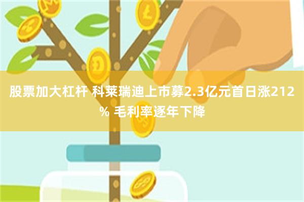 股票加大杠杆 科莱瑞迪上市募2.3亿元首日涨212% 毛利率逐年下降