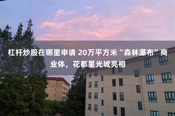 杠杆炒股在哪里申请 20万平方米“森林瀑布”商业体，花都星光城亮相