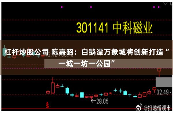 杠杆炒股公司 陈嘉昭：白鹅潭万象城将创新打造“一城一坊一公园”