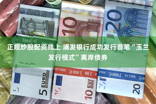 正规炒股配资线上 浦发银行成功发行首笔“玉兰发行模式”离岸债券