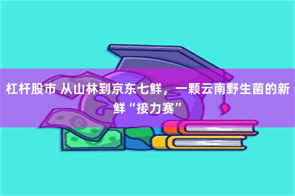 杠杆股市 从山林到京东七鲜，一颗云南野生菌的新鲜“接力赛”