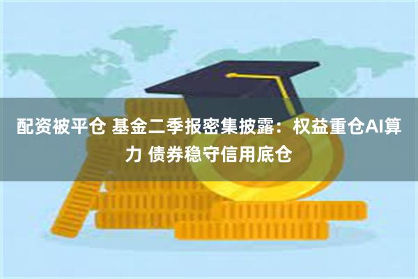 配资被平仓 基金二季报密集披露：权益重仓AI算力 债券稳守信用底仓
