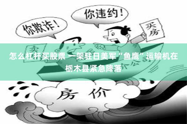 怎么杠杆买股票 一架驻日美军“鱼鹰”运输机在栃木县紧急降落