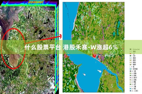 什么股票平台 港股禾赛-W涨超6%