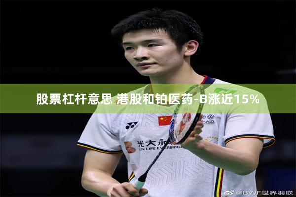 股票杠杆意思 港股和铂医药-B涨近15%