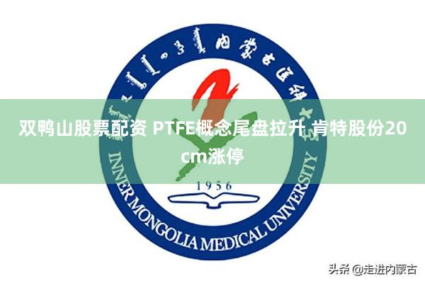 双鸭山股票配资 PTFE概念尾盘拉升 肯特股份20cm涨停
