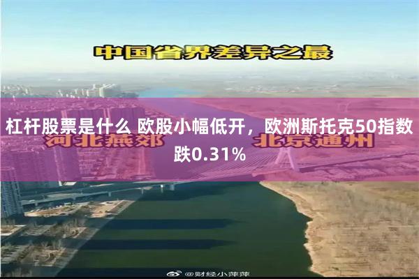杠杆股票是什么 欧股小幅低开，欧洲斯托克50指数跌0.31%