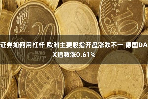 证券如何用杠杆 欧洲主要股指开盘涨跌不一 德国DAX指数涨0.61%