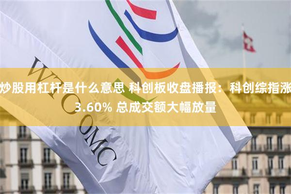 炒股用杠杆是什么意思 科创板收盘播报：科创综指涨3.60% 总成交额大幅放量