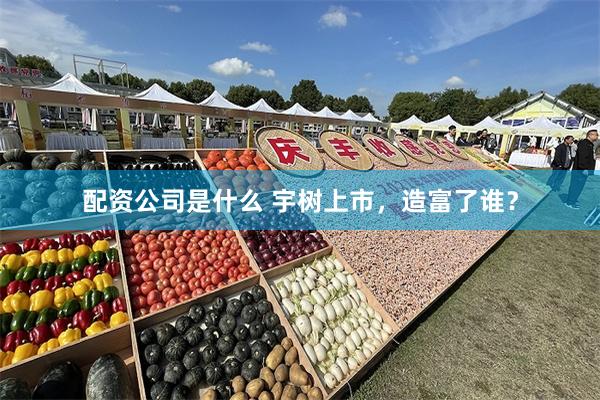 配资公司是什么 宇树上市，造富了谁？