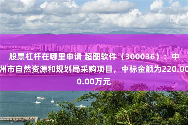 股票杠杆在哪里申请 超图软件（300036）：中标常州市自然资源和规划局采购项目，中标金额为220.00万元