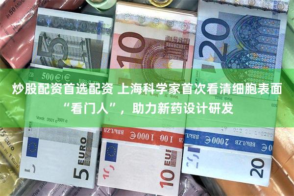 炒股配资首选配资 上海科学家首次看清细胞表面“看门人”，助力新药设计研发
