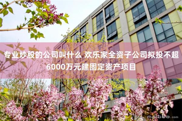 专业炒股的公司叫什么 欢乐家全资子公司拟投不超6000万元建固定资产项目