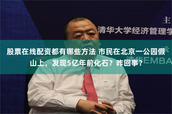 股票在线配资都有哪些方法 市民在北京一公园假山上，发现5亿年前化石？咋回事？
