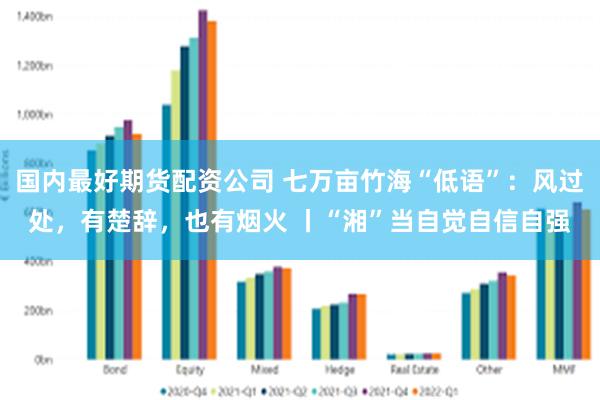国内最好期货配资公司 七万亩竹海“低语”：风过处，有楚辞，也有烟火 丨“湘”当自觉自信自强