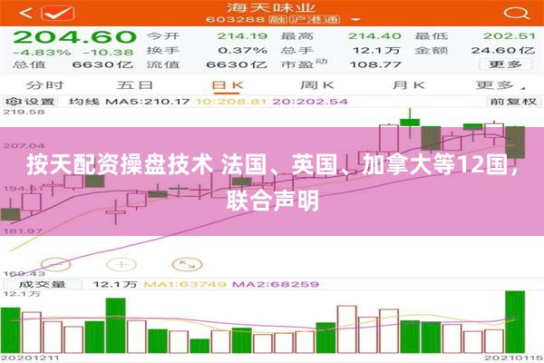 按天配资操盘技术 法国、英国、加拿大等12国，联合声明