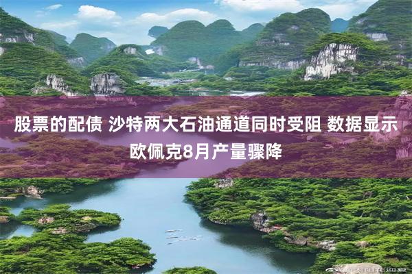 股票的配债 沙特两大石油通道同时受阻 数据显示欧佩克8月产量骤降
