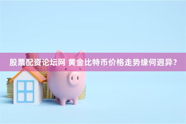 股票配资论坛网 黄金比特币价格走势缘何迥异？