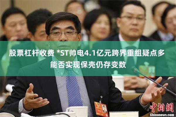 股票杠杆收费 *ST帅电4.1亿元跨界重组疑点多 能否实现保壳仍存变数