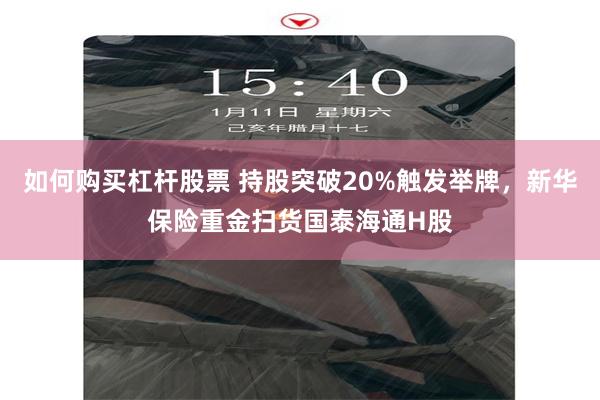 如何购买杠杆股票 持股突破20%触发举牌，新华保险重金扫货国泰海通H股